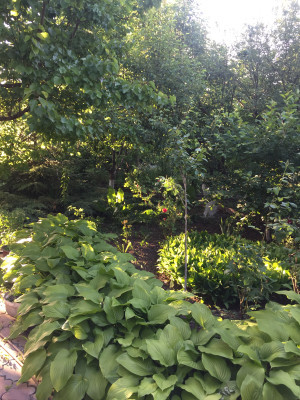 Продаж земельної ділянки 0.1 соток на переулок Дачный 2-й, 9а Одеса - фото 2