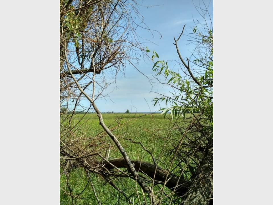 Продаж земельної ділянки на вул. Набережна, Черкаси - фото 6