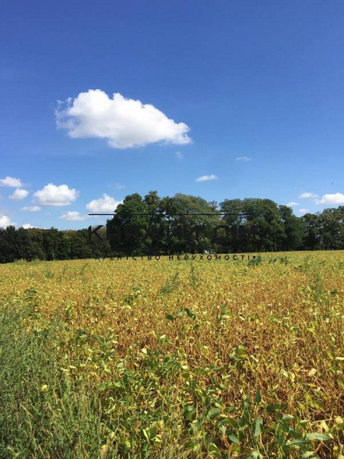 Продаж земельної ділянки 60 соток на М. Михайлюка, 45  - фото 7