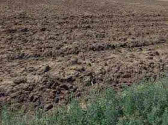 Продаж земельної ділянки 2 га на АН Купи Дім Кропивницький