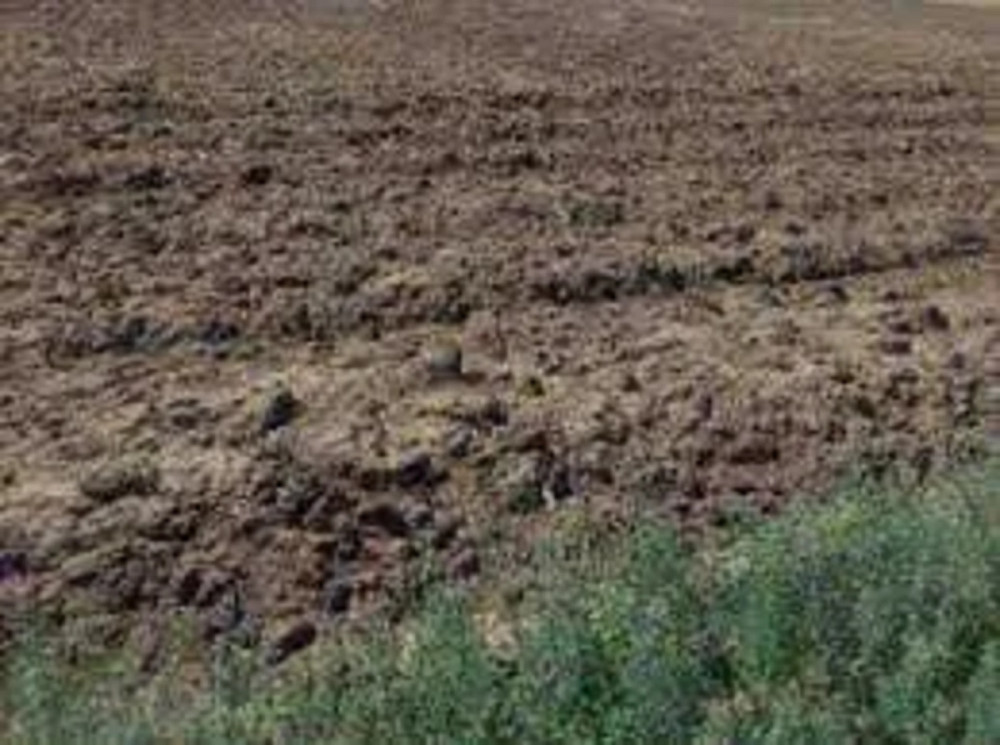 Продаж земельної ділянки 2 га на АН Купи Дім Кропивницький - фото 1