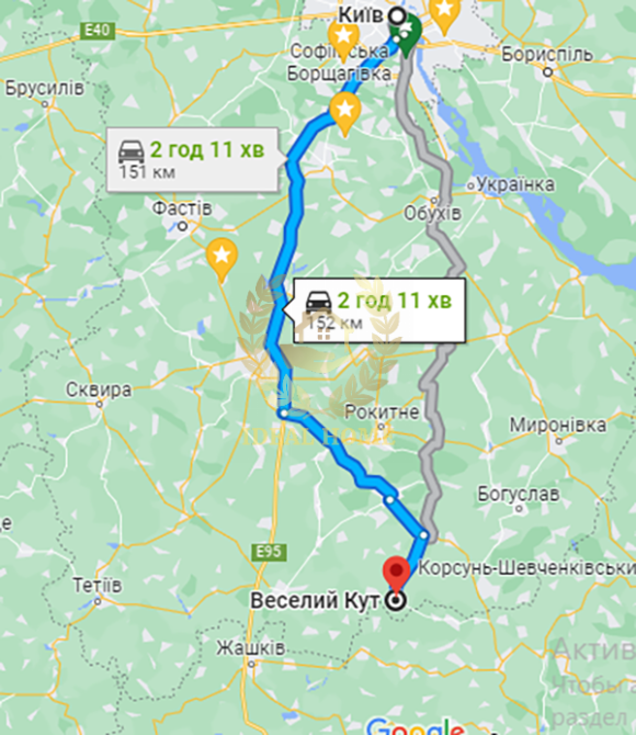 Будинок в селі Веселий кут потребує косметичного ремонту Веселый Кут - фото 6