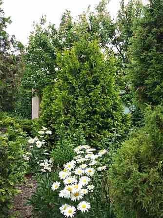 Вилла 200м от моря у моря в Курортном Курортне