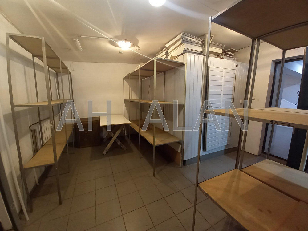 Оренда Будинок 4-кімнатний на Руставелі Шота вул., 21 Київ - фото 10