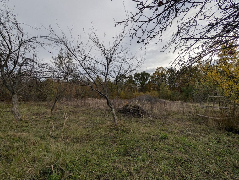 Продаж земельної ділянки 25 соток на Лесі Українки Посіч - фото 6