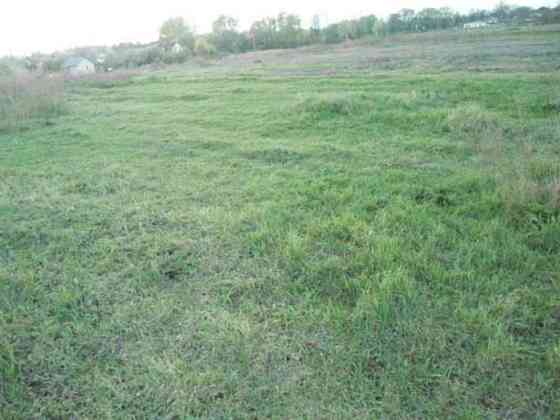 Продаж земельної ділянки 11 соток Проців