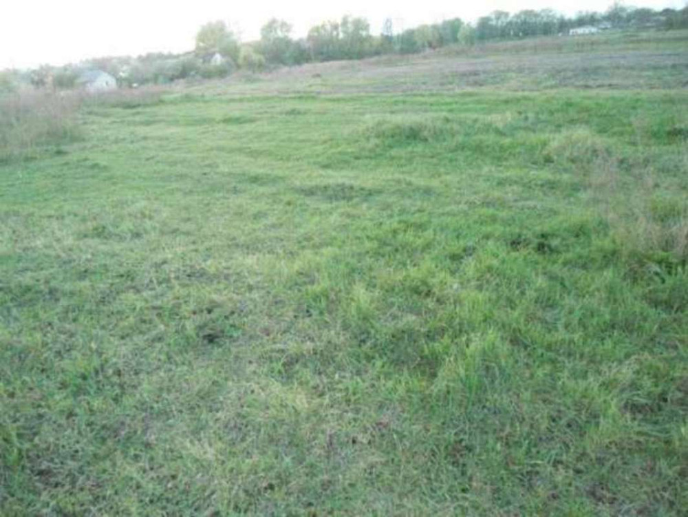 Продаж земельної ділянки 11 соток Проців - фото 1