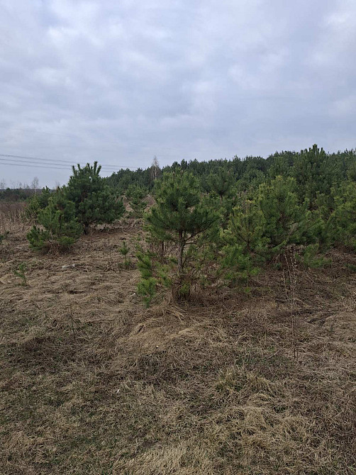 Продаж земельної ділянки 12 соток Kremenets' - photo 8