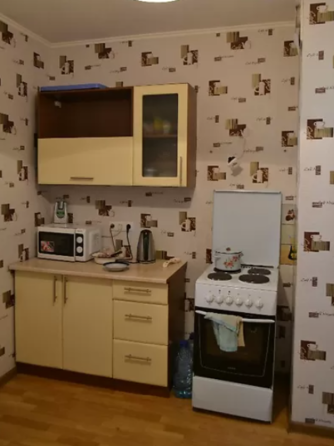 Оренда Квартира 1-кімнатна, 17/22 поверх на Пчелки Елены ул., 2б Київ