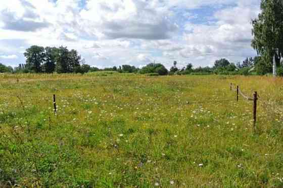 Продаж земельної ділянки 20 соток Лебедин