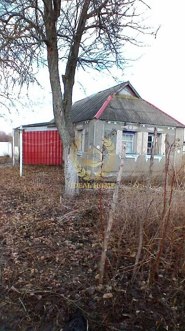 Продається будинок у тихому спокійному місці Гайок (Білоцерківський район) - фото 1