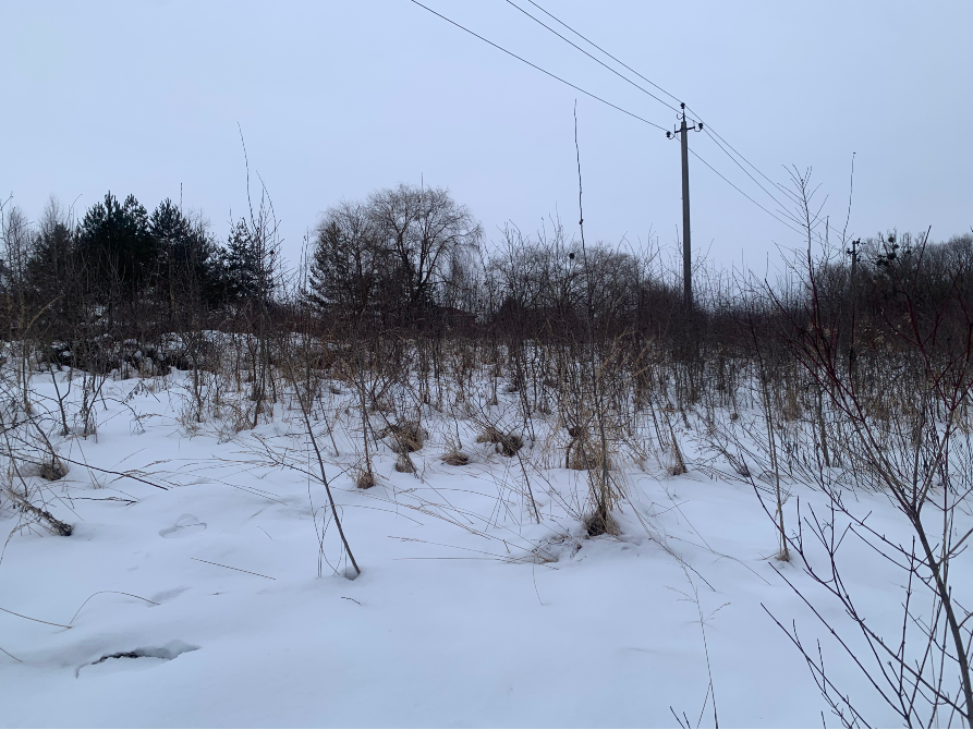 Продажа земельного участка Для сельскохозяйственной деятельности площадь 19 сот GWWH+WP, Миколаївський район, Львівська область, 81630 Дроговиж - изображение 7