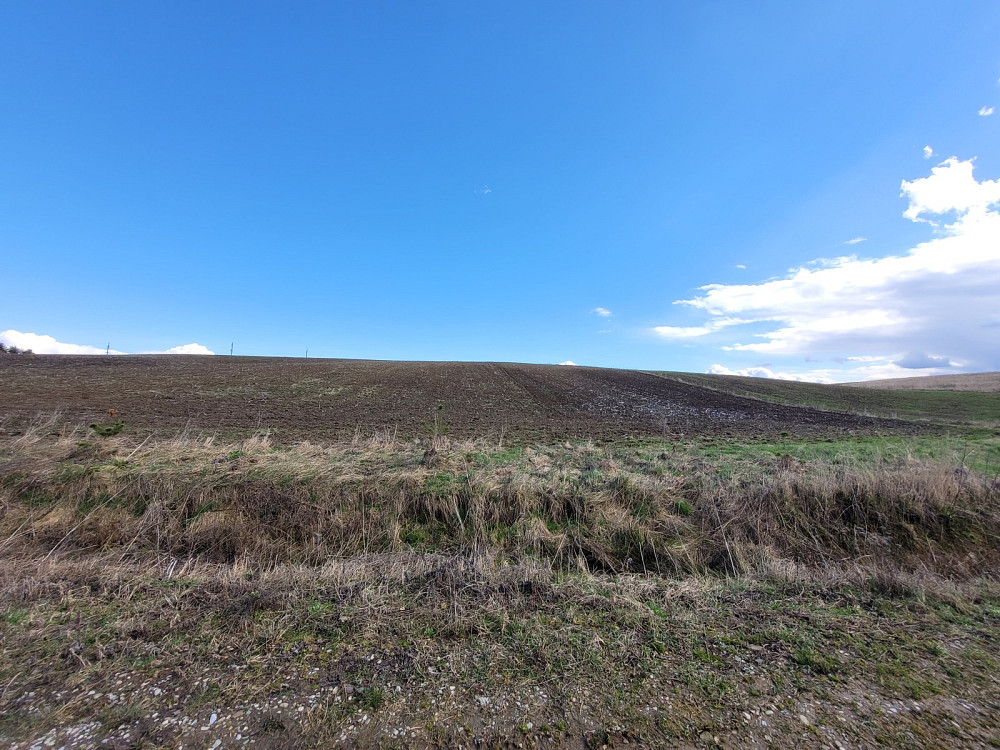 Продаж земельної ділянки 3.76 га Kolodiivka - photo 5