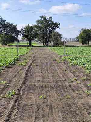 Продаж земельної ділянки 0.1 соток на ул. Центральная, 7 Фонтанка