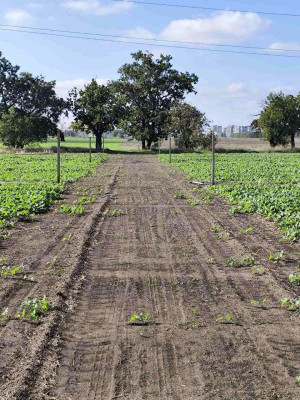 Продаж земельної ділянки 0.1 соток на ул. Центральная, 7 Fontanka - photo 1