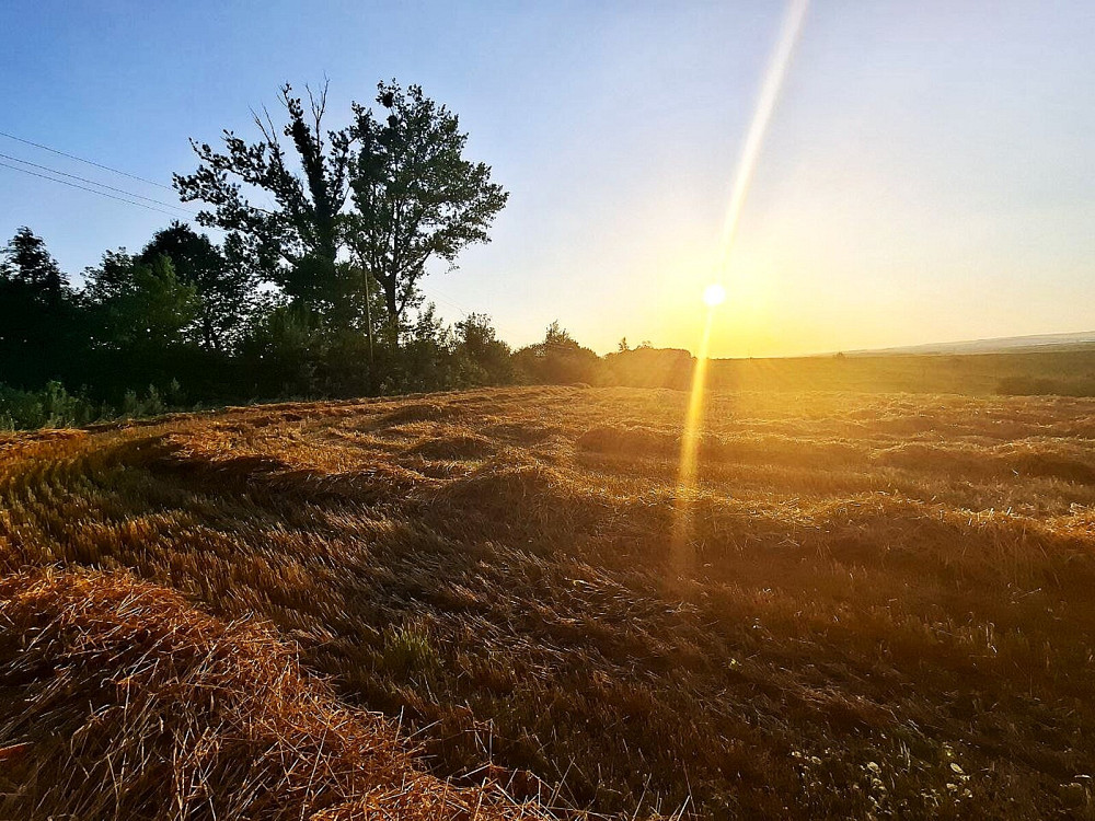 Продаж земельної ділянки 1 га Sadky - photo 6