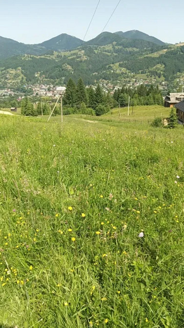 Продаж земельної ділянки 43 соток Верховина - фото 5