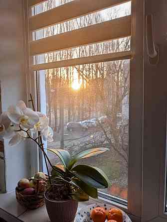 Продаж Квартира 2-кімнатна, 3/5 поверх на Вацлава Гавела вул., д. 83-Г Київ