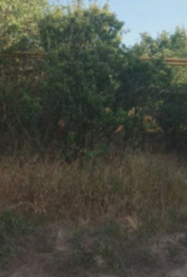 Продаж земельної ділянки 0.1 соток на ул. Геологическая, 20 Одеса - фото 2