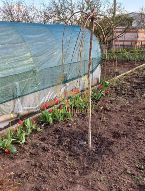 Продаж дачі в Поправкі, дачний кооператив Дружба-3 Поправка - фото 10