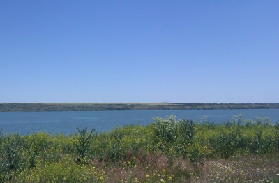 Продаж земельної ділянки 0.2 соток на ул. Зелёная, 11 Єлизаветівка (Роздільнянський район) - фото 1