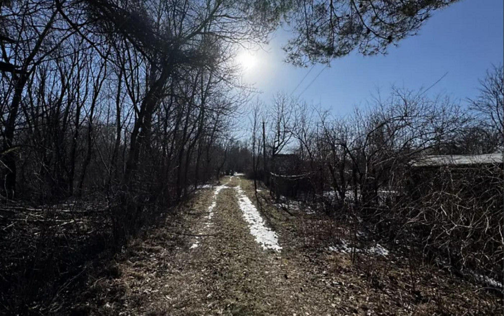 Продаж земельної ділянки 4.79 соток Zhyrivka - photo 1