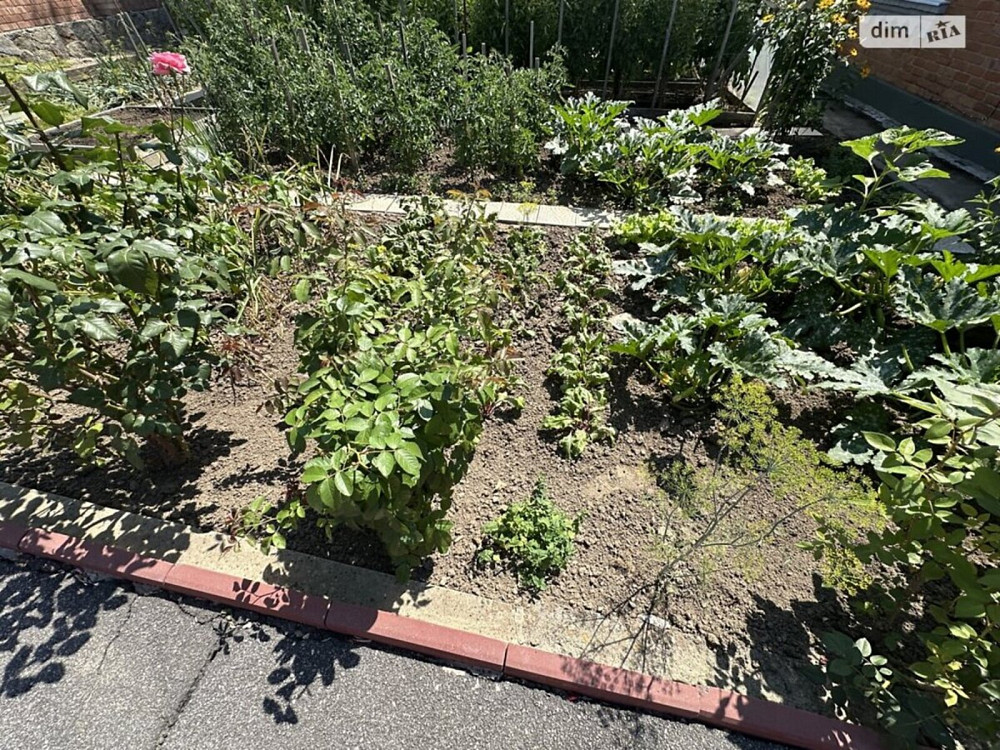 Продаж земельної ділянки 25 соток Вінниця - фото 1