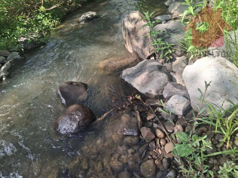 Продаж земельної ділянки 0 соток на Центральна  - photo 7