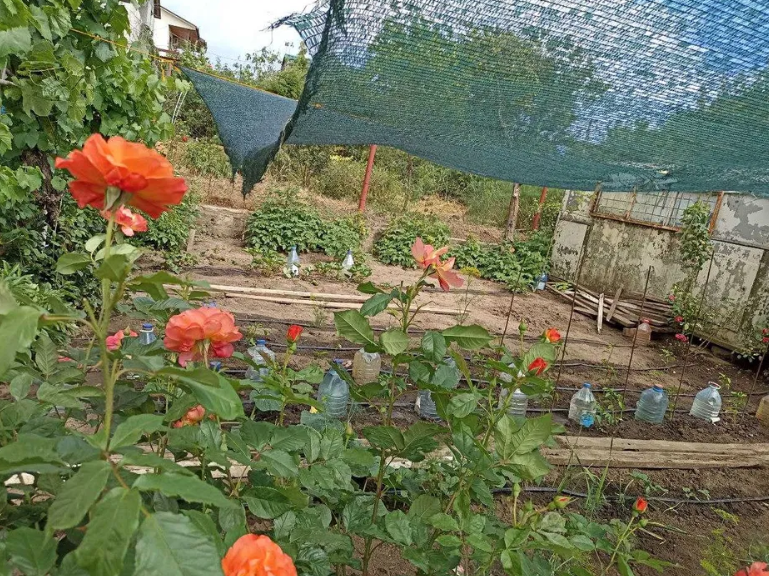 Продам дом-дачу на берегу лимана в Новодофиновском массиве (Лиманский р-н) Нова Дофінівка - фото 12