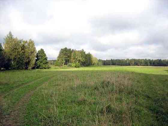 Продаж земельної ділянки 24 соток Иванков