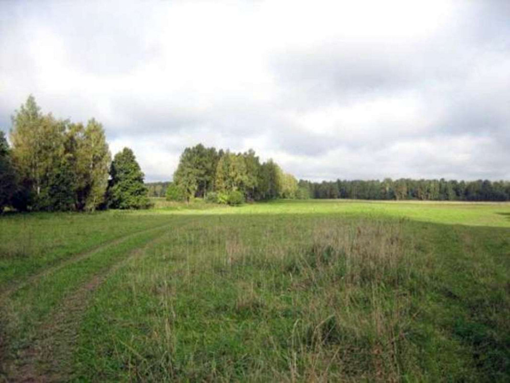 Продаж земельної ділянки 24 соток Іванків - фото 1