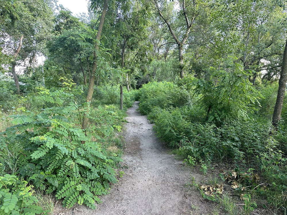 Продаж Квартира 2-кімнатна, 18/28 поверх на Дніпровська наб. вул., д. 17-К Kiev - photo 19