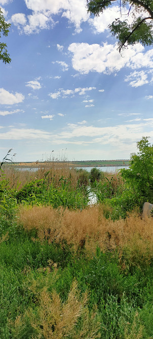 Продается дача на берегу Хаджибейского лимана Бурдівка - фото 15