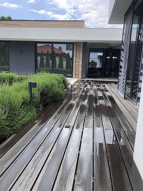 Сосновый берег Фонтанка - фото 9