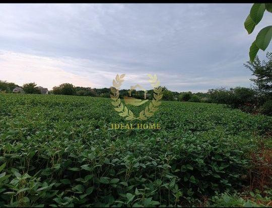 Продаж Будинок 3-кімнатний на Полевая ул., 17  - фото 9