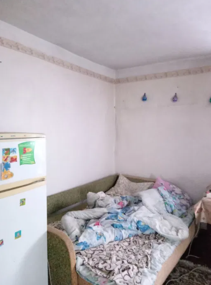 Продам дом с газом в пгт Кремидовка (20 км от Одессы) Кремидівка - фото 6