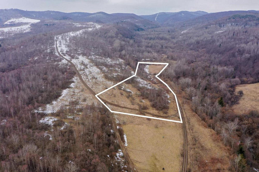 Продаж земельної ділянки 2.2 га на вул. Січових Стрільців Верхнє Синьовидне - фото 2