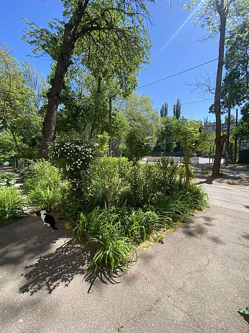 Продаж Квартира 1-кімнатна, 4/5 поверх на Космонавтов улица, 17 Одеса - фото 2