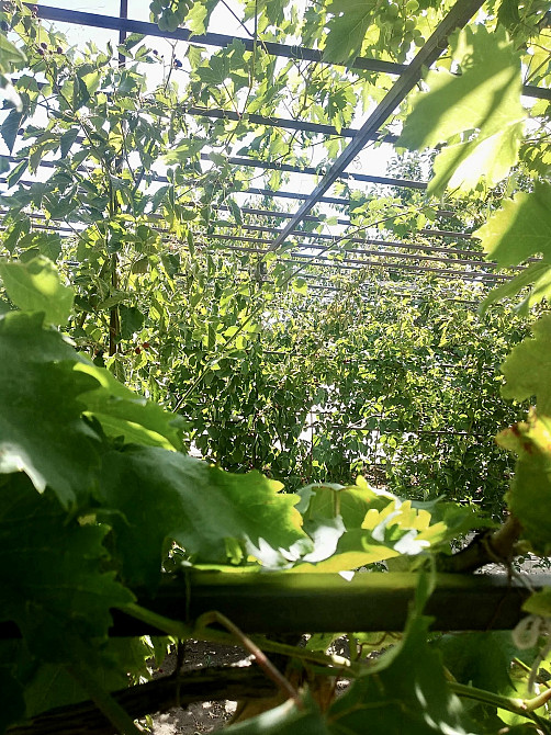 Продаж Будинок на вул. Коралова Odessa - photo 16