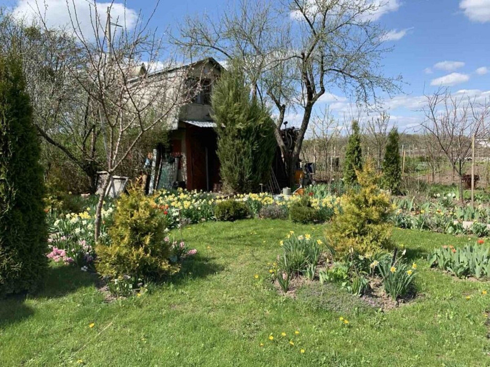 Продаж Будинок на с.Рибаче Vinnytsya - photo 4