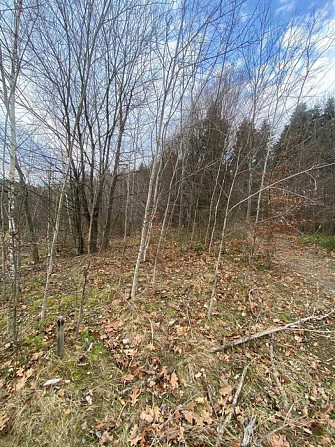 Продаж земельної ділянки 32 соток на вул. Степана Бандери Борислав - изображение 14