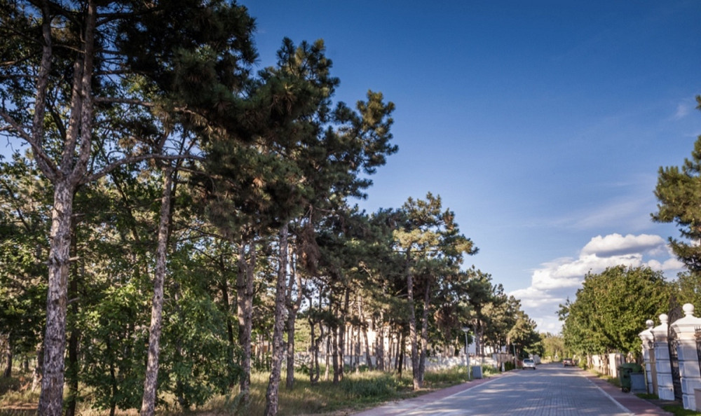 Продаж земельної ділянки 25 соток Odessa - photo 13