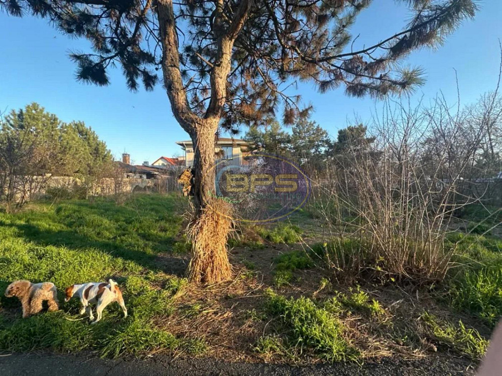 Продаж земельної ділянки 9 соток на вул. Горіхова Фонтанка - фото 3