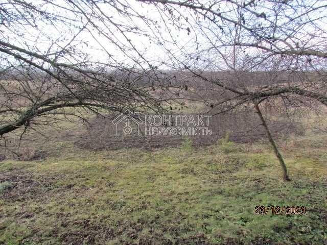 Продаж Будинок 3-кімнатний на вул. Центральна Манченки - фото 16