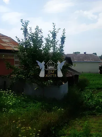 Продаж земельної ділянки  площа 21.4 сот Микулинецька вулиця 24 Велика Березовиця - фото 4