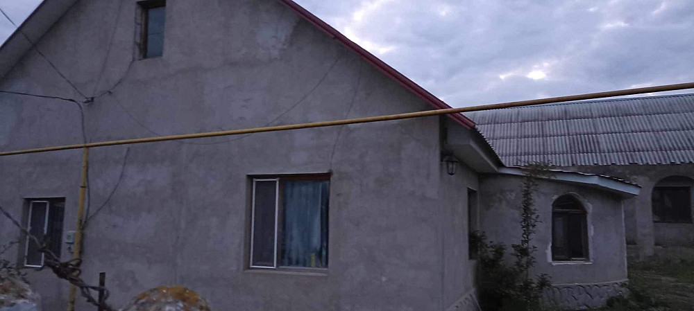 ЧАСТНЫЙ ДОМ рядом с границей Кучурган (Великомихайливський район) - изображение 2