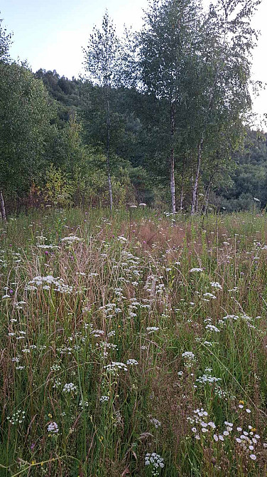 Продаж земельної ділянки 25 соток Uzhhorod - photo 3