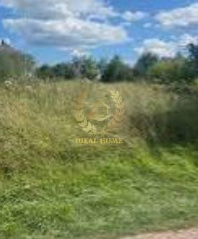 Продаж земельної ділянки 11 соток на Молодежная ул. Kalynivka (Poliskyi raion) - photo 1