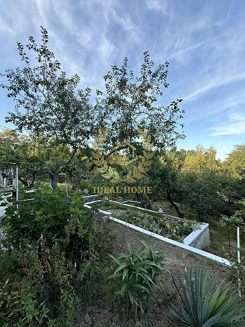 Продам дачный дом Ходосівка, Грушева вул. Ходосовка - изображение 9