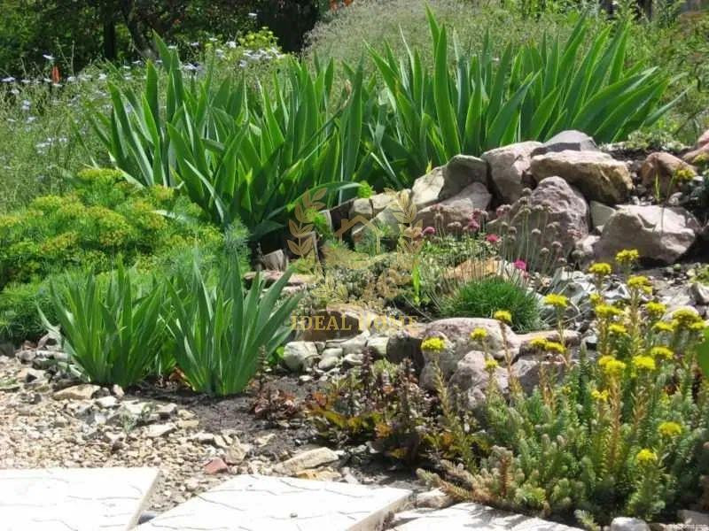 Продам дачний будинок в межах м.Києва Київ - фото 7